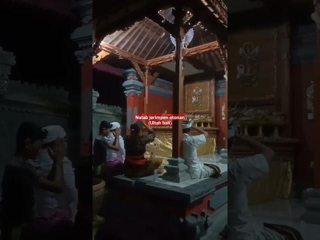 upacara natab jerimpen otonan#short#shortsfeed #shortvideo #tradisiadatbudayabali #hindu