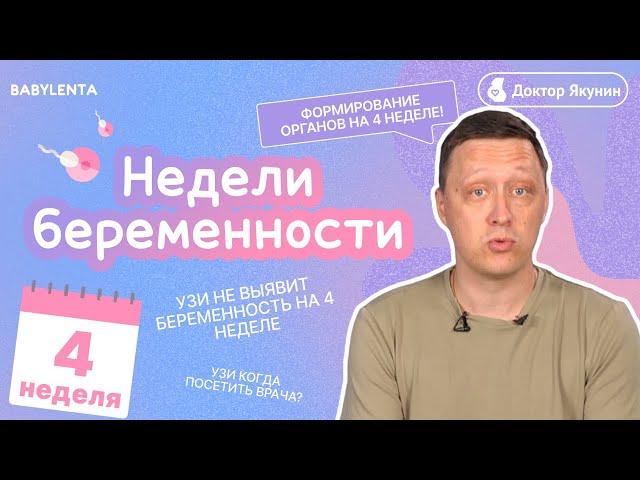 4 неделя беременности что происходит с плодом и что чувствует женщина, как выглядит ребенок, УЗИ