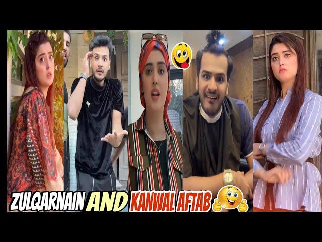 The Most Funny Video  Of Zulqarnain And Kanwal Aftab Funny TiK Tok Video Parts-2 #zulqarnain