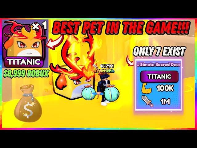 I SHOWCASED THE #1 LEADERBOARD PLAYERS BEST PET in PET ATK SIMULATOR