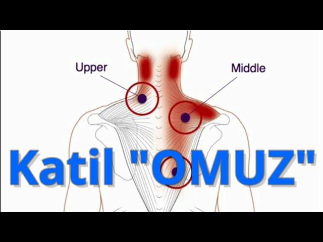 OMUZ  SIRTIMDAKİ YÜK | GEÇMEYEN SIRT AĞRILARI | Fizyoterapist Aynur BAŞ