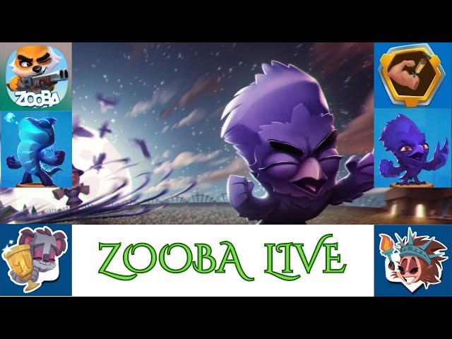 Zooba Live Playing With Subscribers