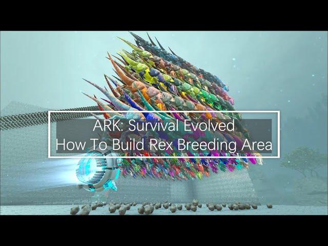 How To Build Rex Breeding Area