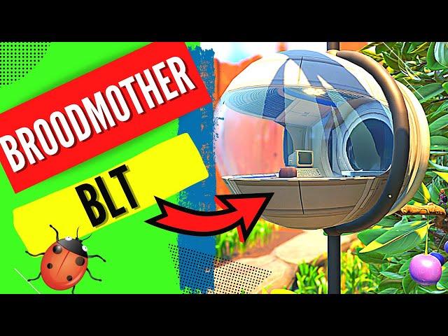 Grounded Broodmother BLT Recipe