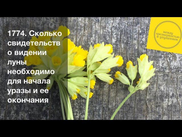 Сколько свидетельств о видении луны необходимо для начала уразы и ее окончания