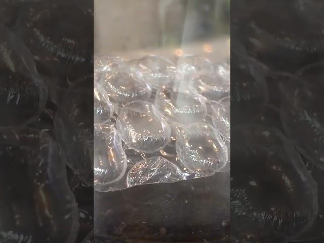 What BUBBLE WRAP Does in a Vacuum Chamber