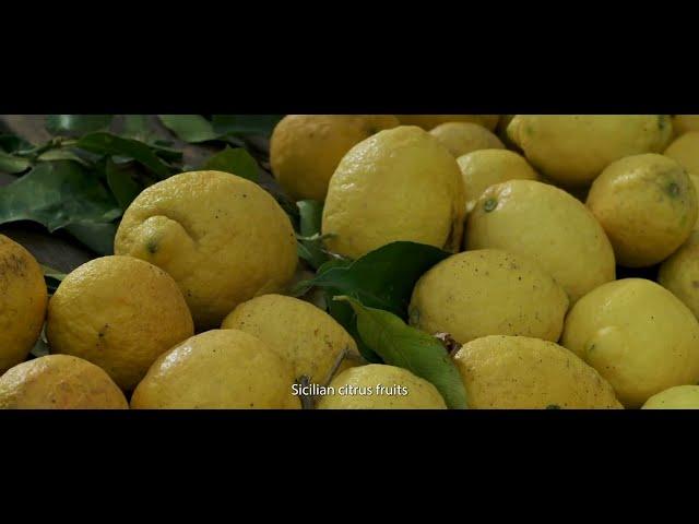  PONTHIER : Lemon from Sicily