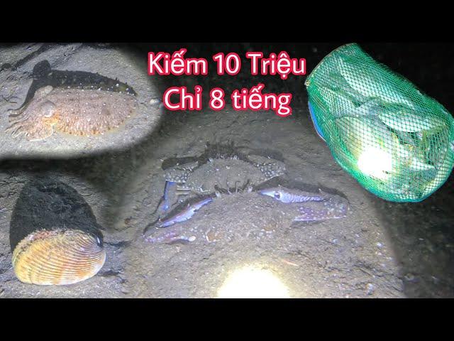 Lần Đầu Tiên Trông Đời Kiếm 10 triệu Đồng Một Đêm Lặn 8 Tiếng  - Chĩa Cá Không Kịp Tây