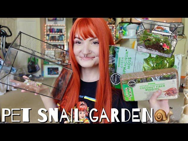 building a snail garden 