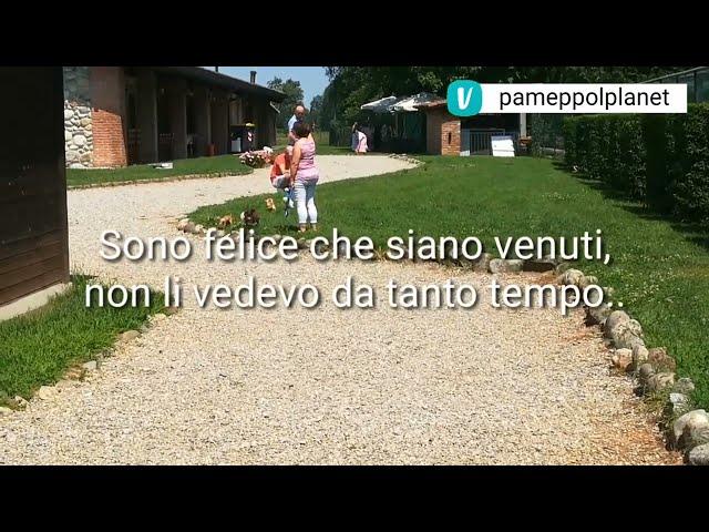 Devo tornare a casa ma non voglio farlo | vlogpam | @pameppolplanet