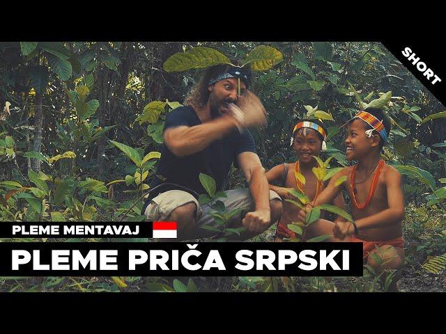 Mentawai tribe speaks serbian | Indonesia