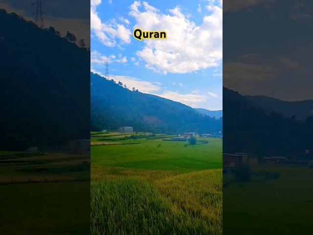 Surah Maryam #translation in urdu #lovequran#viral#quran#shorrs