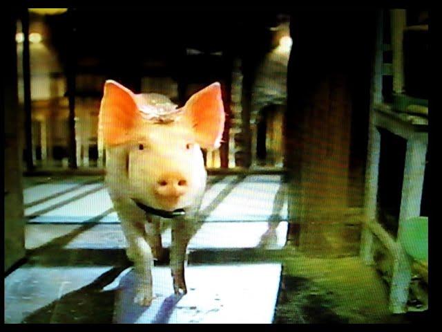 Babe: Pig in the City, RARE 15-second teaser commercial, aired on NBC, Nov 18, 1998