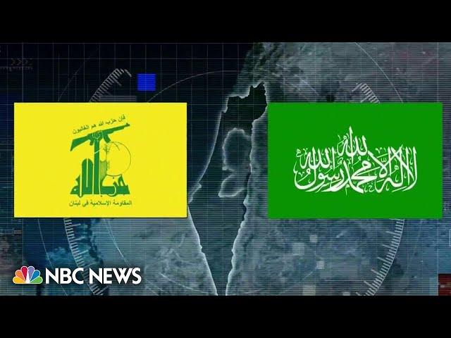 The difference between Hamas and Hezbollah militant groups and their motives