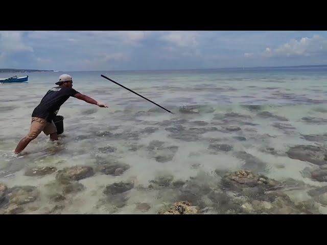 his javelin throwing skill is used to spear fish | Hunting and cooking.