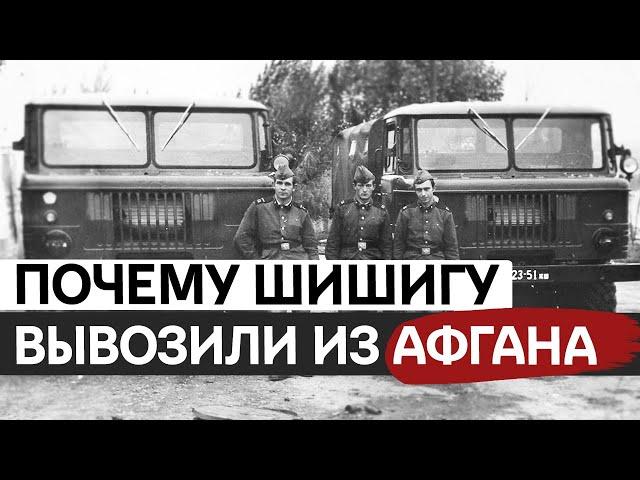 “Шишига”: история и факты о легендарном советском грузовике ГАЗ-66