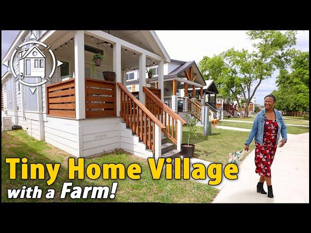 Tiny Home Village w/ luxury amenities is affordable utopia