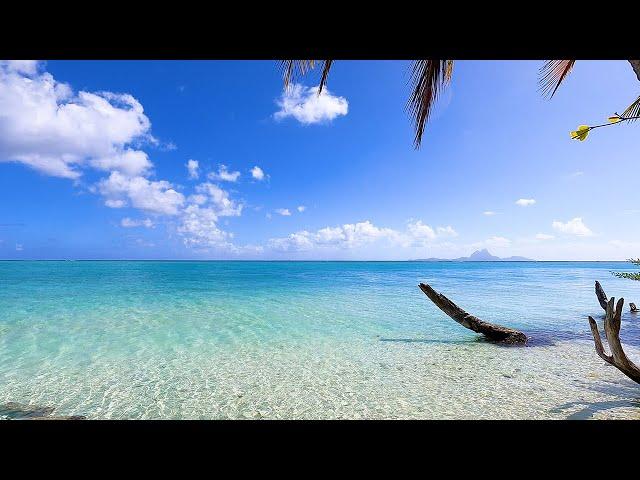 Tahiti Dream: 3 Hour Meditation Video For Stress Relief