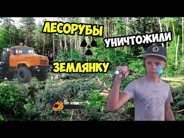 ХОТЕЛИ ДОСТРОИТЬ ЗЕМЛЯНКУ, А НА ТОМ МЕСТЕ ЛЕСОРУБЫ ВСЁ УНИЧТОЖИЛИ!!! ЧТО ТАМ ПРОИЗОШЛО?