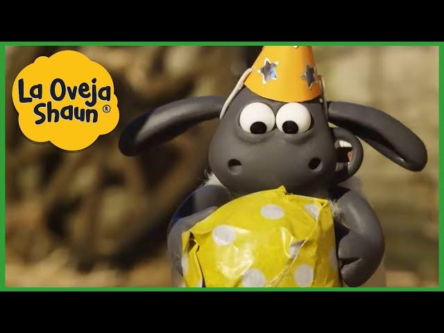 La Oveja Shaun  Temporada completa  Dibujos animados para niños