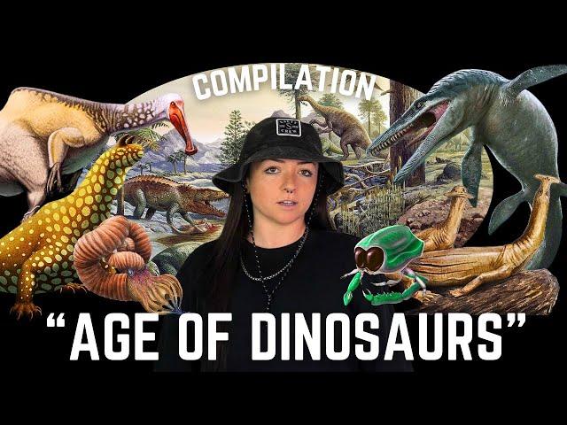 The Mesozoic Era (That We Know Of) Age of Dinosaurs Compilation | Lindsay Nikole