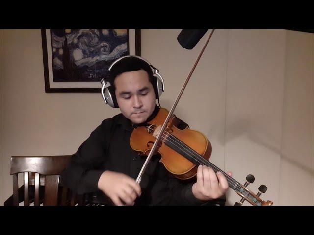 Hey Jude - Violin Cover