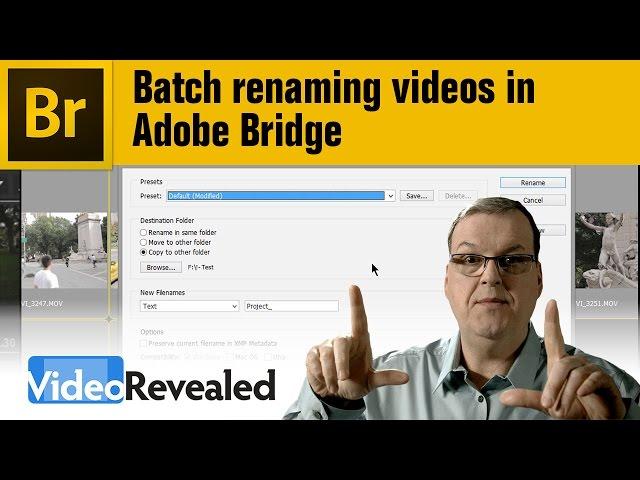 Batch renaming videos in Adobe Bridge