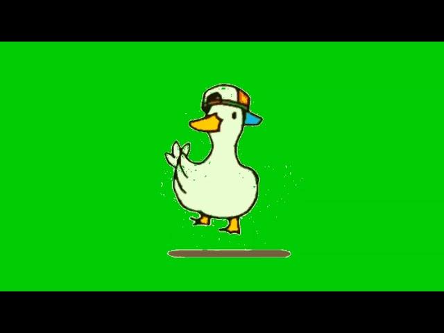 Green screen ~ animasi lucu ~ bebek menari