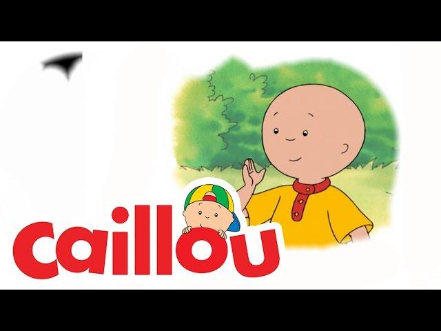Caillou - Caillou Tries Karate  (S03E01) | Videos For Kids