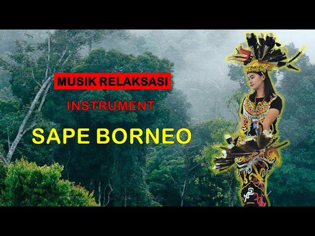 Relaxation Music: Borneo Sape Instrument