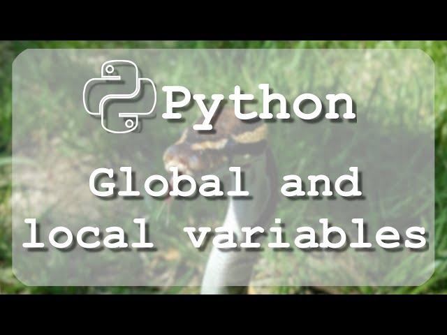 #12 Learn to use Python global and local variables