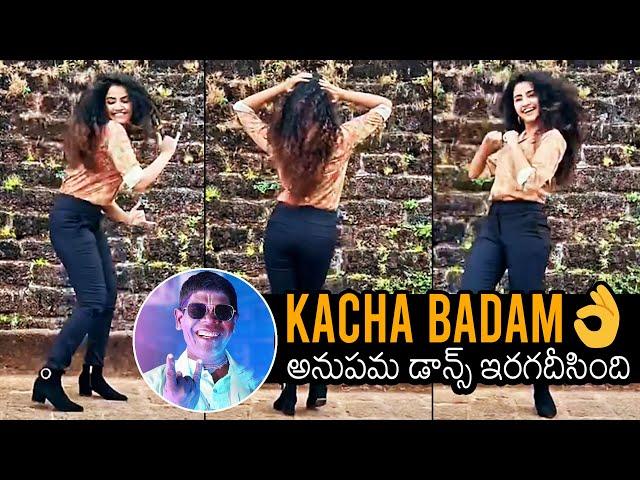 Anupama Parameswaran MIND BLOWING DANCE Performance | Anupama Latest Video | News Buzz