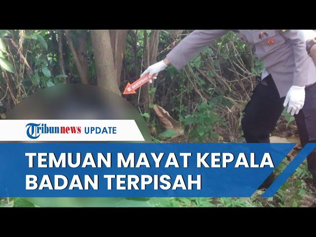 VIRAL Penemuan Mayat di Ponorogo Kepala di atas Pohon Terpisah dengan Badan yang Tergeletak di Tanah