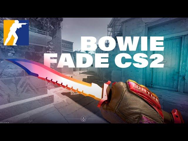 Bowie Knife Fade  + Especialist Marble Fade  *  CS2 Shwocase