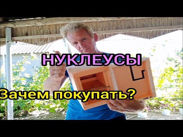 Мои нуклеусы из ППС(пеноплекса) отработали два года.