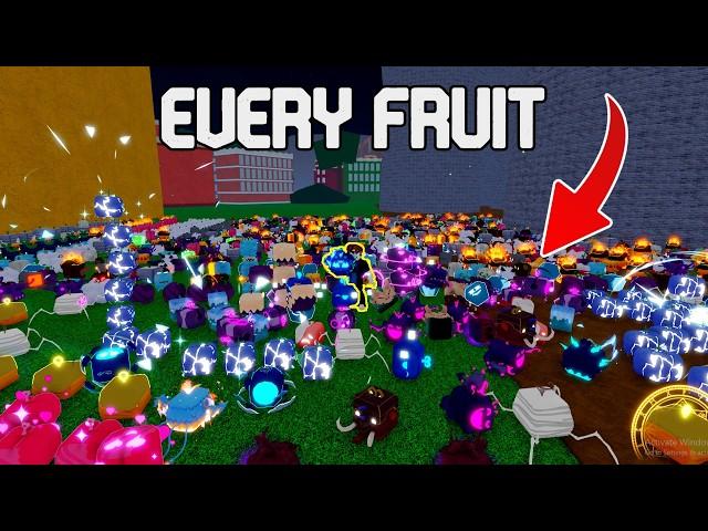 I ROLLED EVERY FRUIT IN BLOX FRUITS