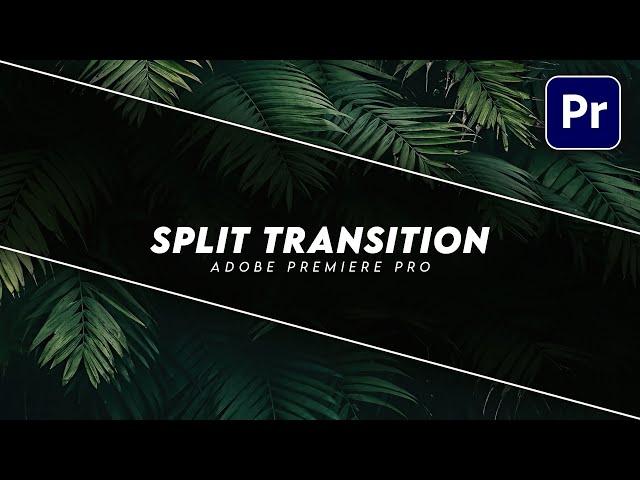 Make Easy Split/Slice Transitions in Premiere Pro (Tutorial)
