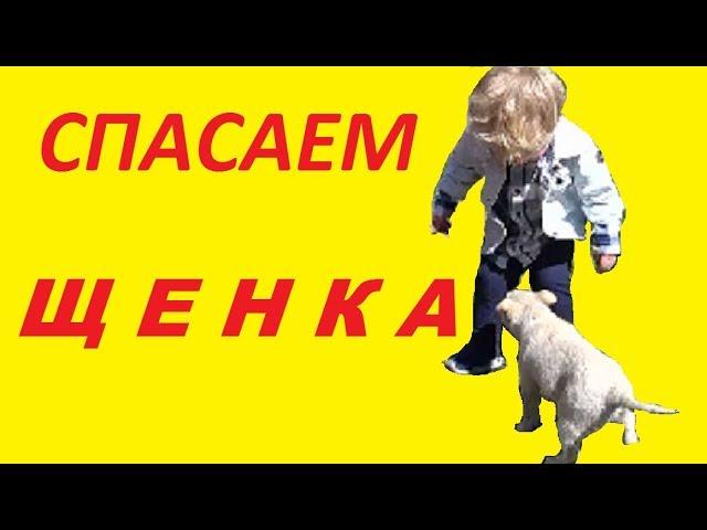 Как Дядя Джек CПАСАЛ брошенную СОБАКУ/Uncle Jack save puppy