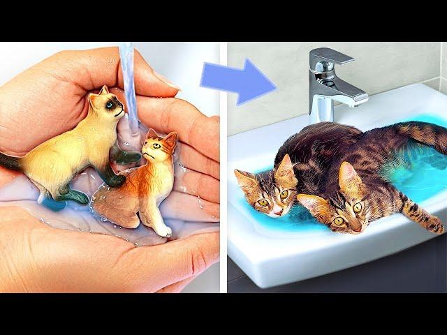 MEOW  Secret Cat House Under Your Bed! *DIY Room Makeover and Hacks