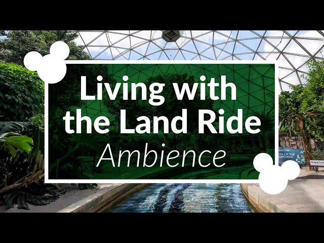 Living with the Land Ambience | Disney World Epcot Living with the Land Ambience