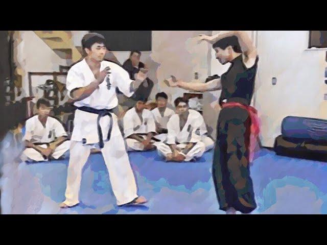 Kyokushin Karate  vs. Chinese martial arts