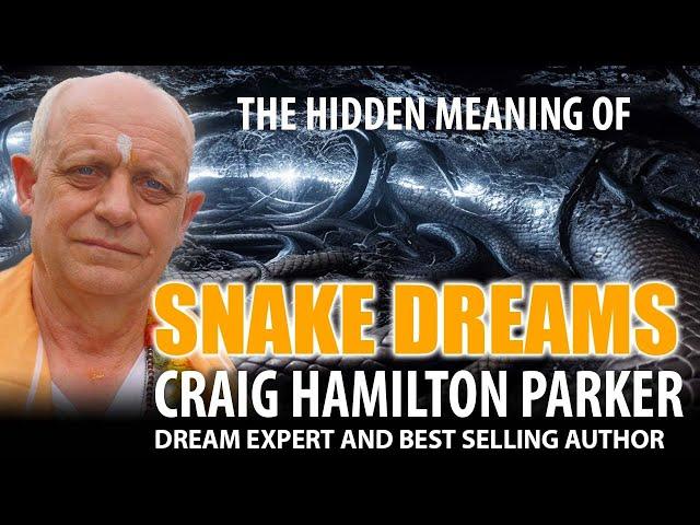 Dreams About Snakes - What do dreams about snakes mean?