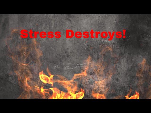 Silent Assassin Fatal Effects: Stress Understanding Deadly Impact Long-Term Stress