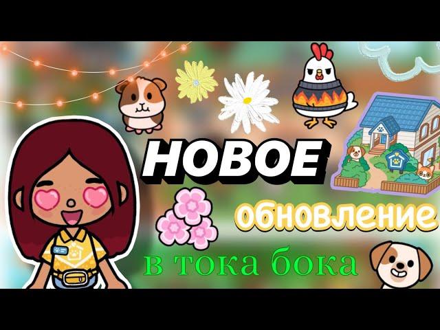 НОВАЯ ЛОКАЦИЯ в тока бока  / Toca Boca World / toca boca / тока бока / Secret Toca