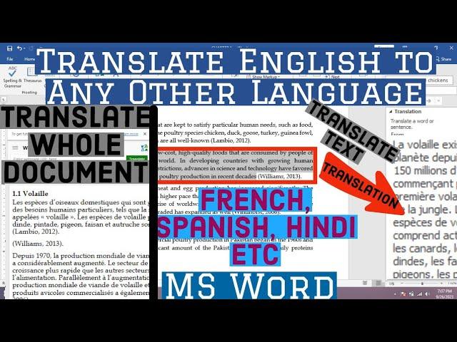 How To Use Translator in MS Word | How to Translate English To Other Languages in MS Word | MS Word