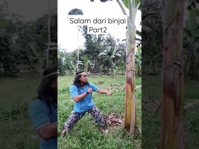 #trending SALAM DARI BINJAI PART2