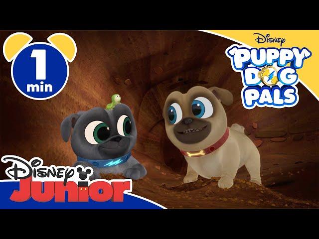 Puppy Dog Pals | Music Video "Amo la terra" - Disney Junior Italia