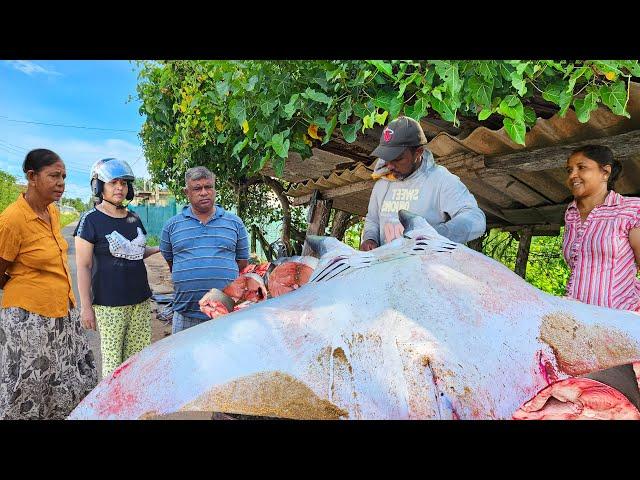 Amazing !! Village Street Fishmarket And Fish Cutting Skills In Sri Lanka