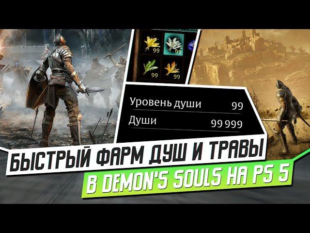 ГАЙД: БЫСТРЫЙ ФАРМ ДУШ И ТРАВЫ В DEMON'S SOULS НА PS5