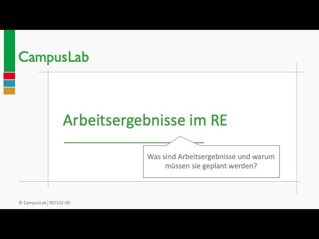 Requirements Engineering - Arbeitsergebnisse im RE